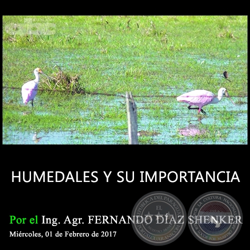 HUMEDALES Y SU IMPORTANCIA - Ing. Agr. FERNANDO DÍAZ SHENKER - Miércoles, 01 de Febrero de 2017